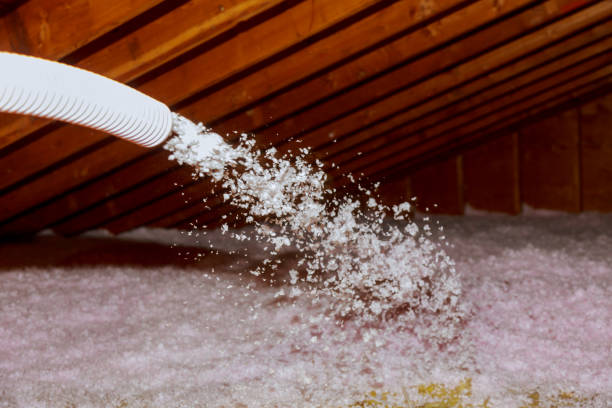 Best Spray Foam Insulation in Annapolis Neck, MD