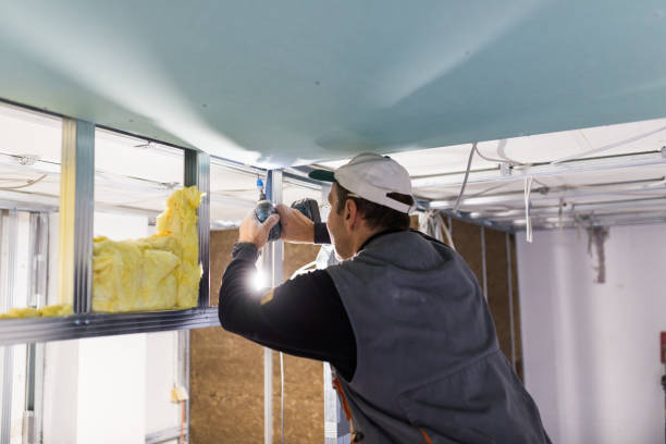Best Energy Efficiency Insulation in Annapolis Neck, MD