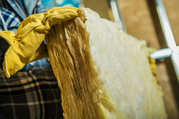Types of Insulation We Offer in Annapolis Neck, MD