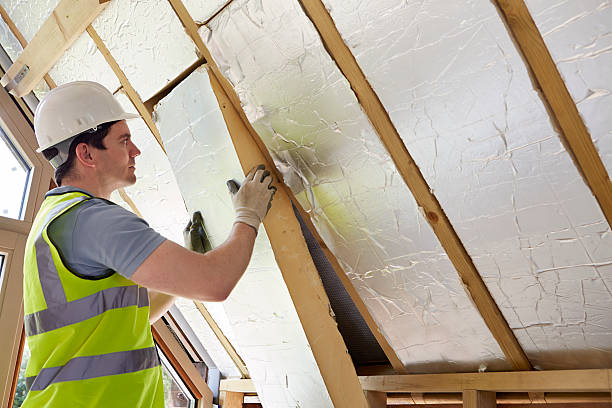Best Residential Insulation in Annapolis Neck, MD